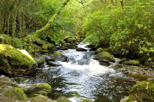 Torc Waterfall — Stock Photo, Image