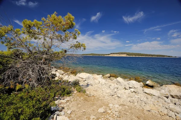 Brijuni Nationaal Park (Kroatië) — Stockfoto