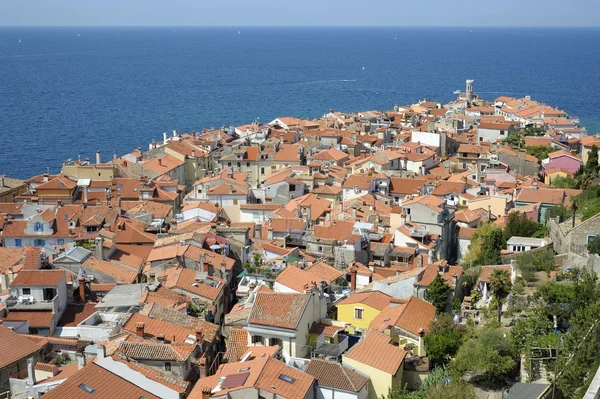 Piran (Slovenië) — Stockfoto