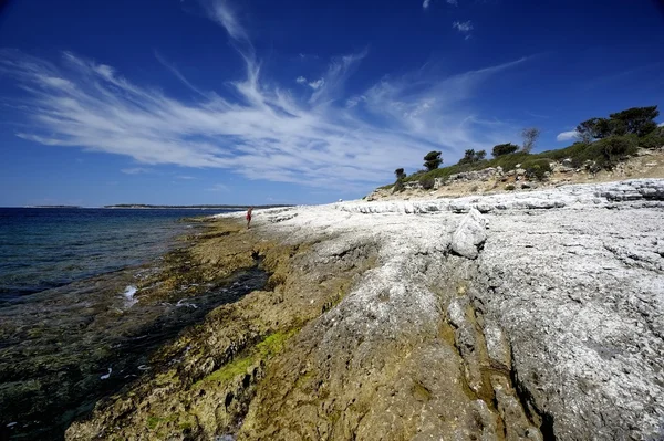 Brijuni National Park (Kroatien) — Stockfoto