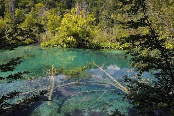 Plitvice Gölleri Milli Parkı (Hırvatistan) — Stok fotoğraf