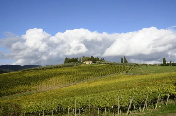 Tuscan hills — Stock Photo, Image