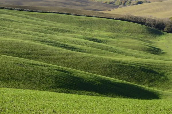 Groene heuvels — Stockfoto