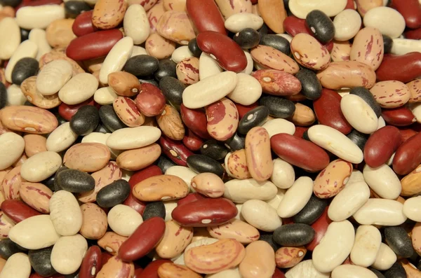Mixed dry beans — Stock Photo, Image