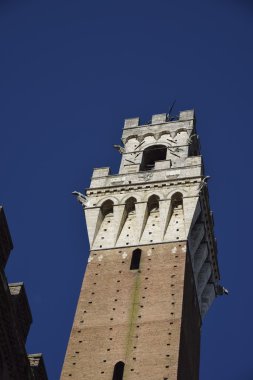 Torre del Mangia (Siena)