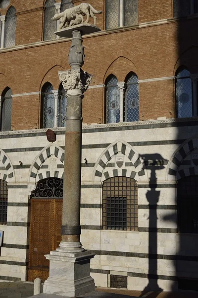 Lupa di Siena — Fotografia de Stock