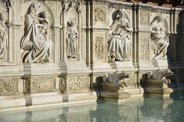 Fonte Gaia (Siena) — Stok fotoğraf