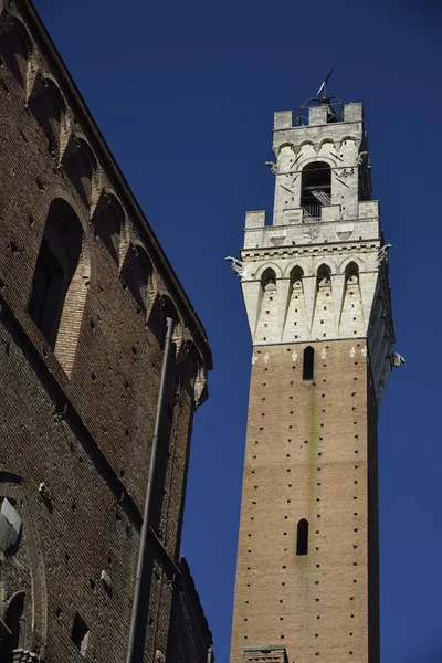 Torre del Mangia (Siena) — Stock fotografie