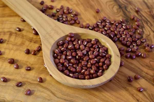 Fagioli Mazuki — Foto Stock