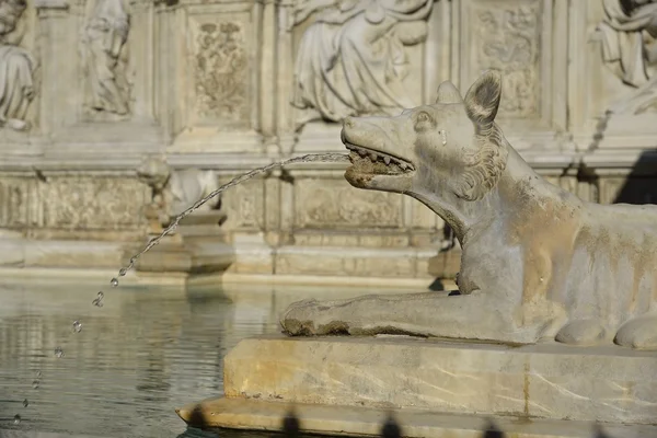 Fonte Gaia (Siena) — Stock fotografie