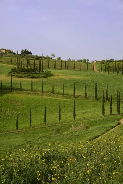 Typische toskanische Landschaft in Italien — Stockfoto