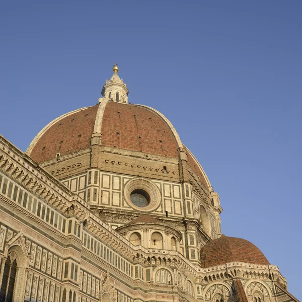 Dôme de Florence — Photo