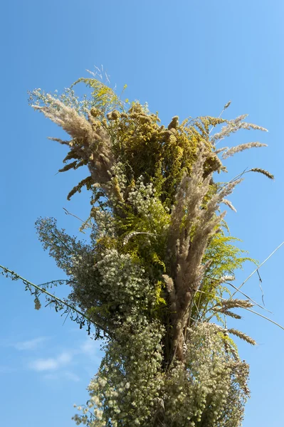 Didukh — Stok fotoğraf