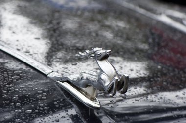 başlık üzerinde geyik