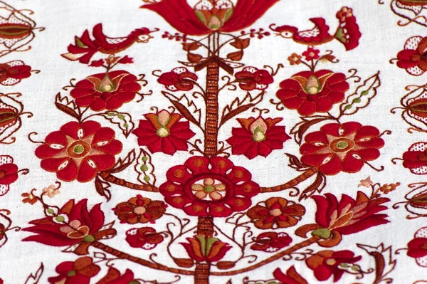 Fragment of traditional Ukrainian embroidery — Stock Photo, Image