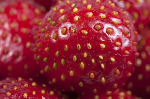 Reife Erdbeeren — Stockfoto