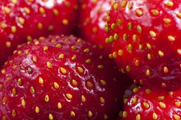 Reife Erdbeeren — Stockfoto