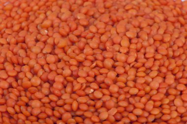 Kırmızı mercimek fasulye