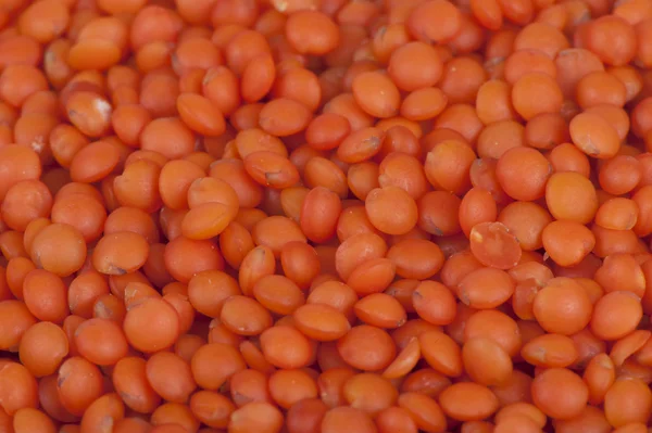 Red lentil beans — Stock Photo, Image