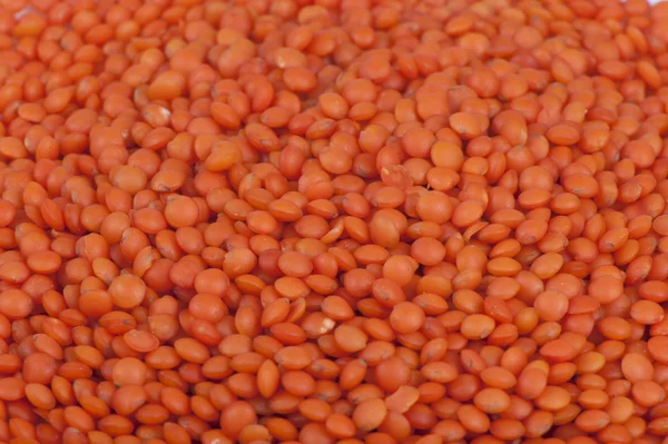 Feijão de lentilha vermelha — Fotografia de Stock