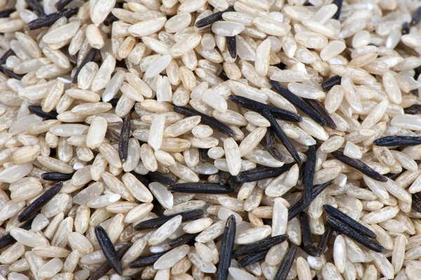 Μείγμα ρυζιού — Φωτογραφία Αρχείου