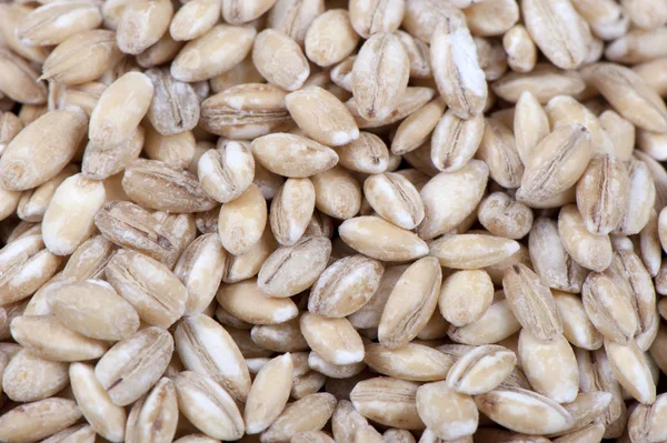 Pearl barley — Stock Photo, Image