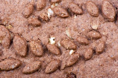 çikolatalı kurabiye