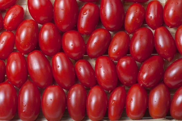 Small oblong red ripe tomatoes — Stock Photo, Image