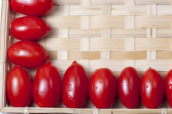 Pequenos tomates maduros vermelhos oblongos — Fotografia de Stock
