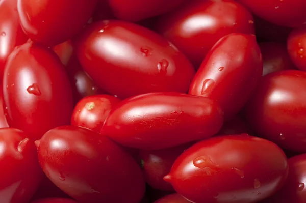 Созревшие красные помидоры — стоковое фото