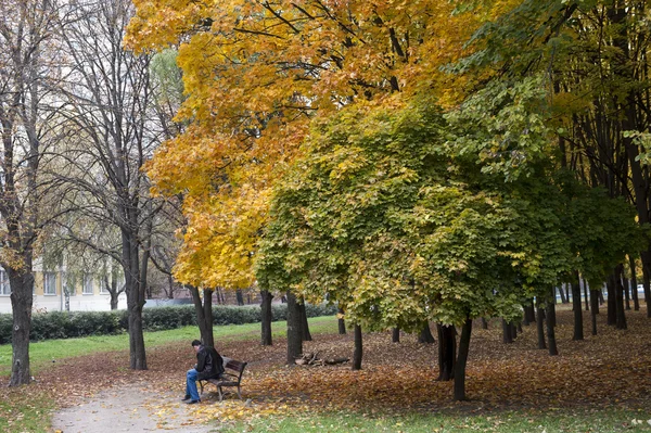 У міському парку, осінь — стокове фото