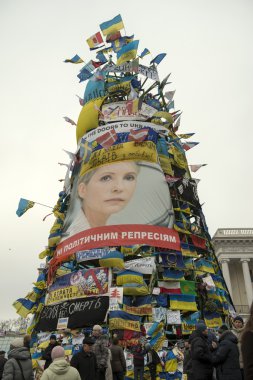 Kiev muhalefet mitingi