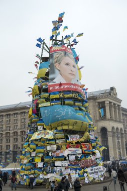 Kiev muhalefet mitingi