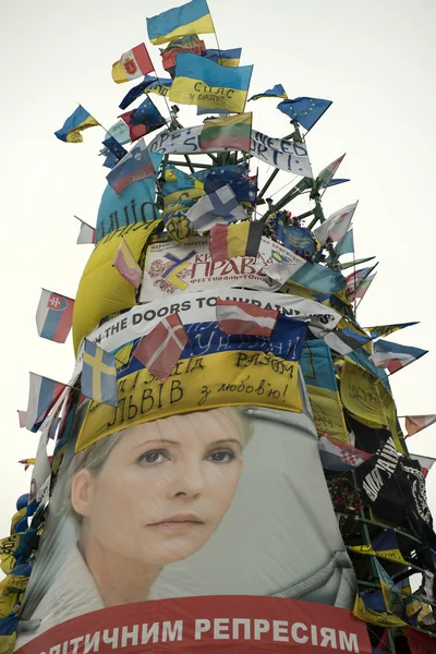 Oppositionsmøde i Kiev - Stock-foto