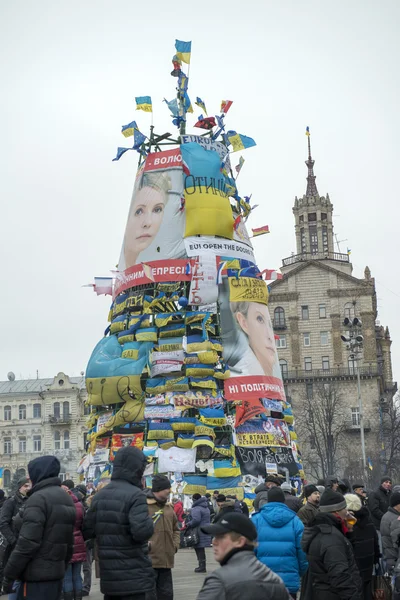 Kiev muhalefet mitingi