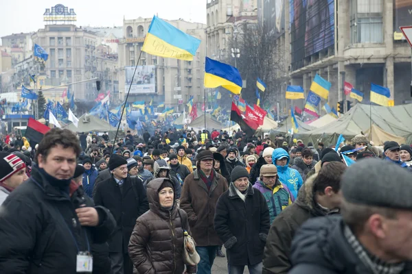 反对派集会在基辅 — 图库照片