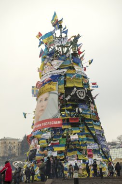 Kiev muhalefet mitingi