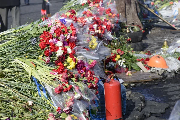 Flores en las barricadas de Kiev — Foto de Stock