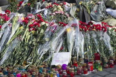 kiev barikatlar üzerinde çiçekler