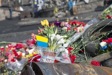 kiev barikatlar üzerinde çiçekler