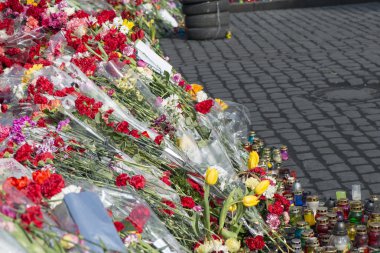 kiev barikatlar üzerinde çiçekler