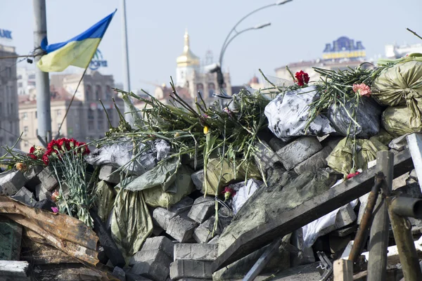 Flores en las barricadas de Kiev — Foto de Stock