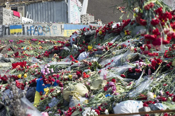 Flowers on the barricades of Kiev — Stock Photo, Image