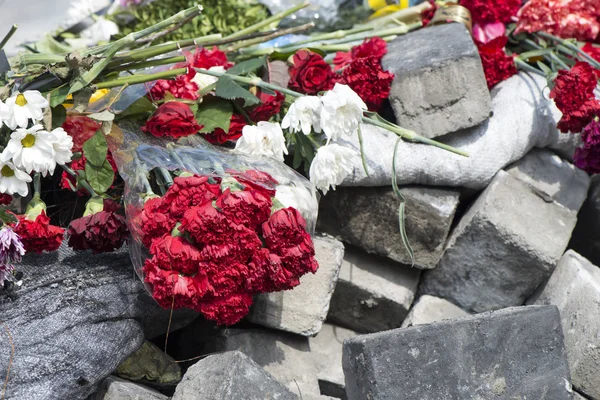 Flores en las barricadas de Kiev — Foto de Stock