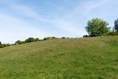 çiçek arka plan mavi gökyüzü ile