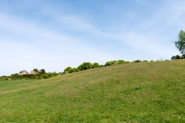 çiçek arka plan mavi gökyüzü ile
