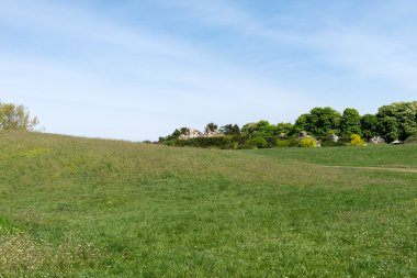 çiçek arka plan mavi gökyüzü ile