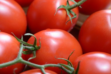 Olgun kırmızı domates