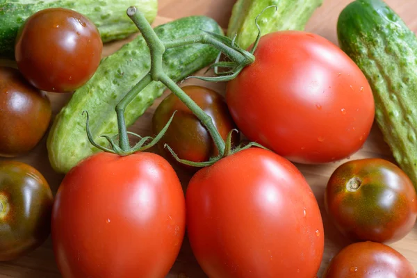 Reife rote Tomaten und Gurken — Stockfoto