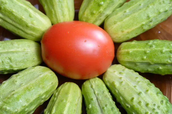 Dojrzałe czerwone pomidory i ogórki — Zdjęcie stockowe